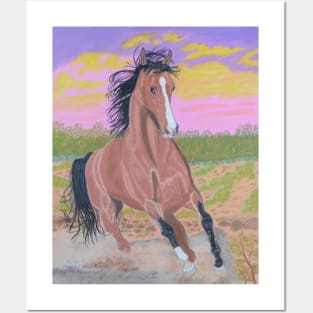 A brown horse at sunset Posters and Art